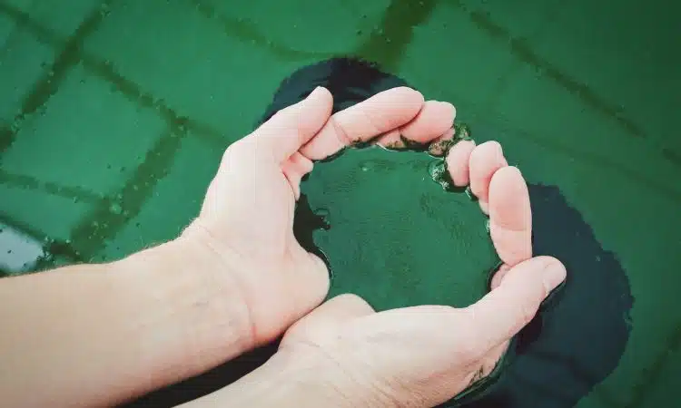 person holding green liquid closeup photoghraphy