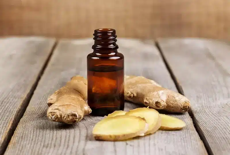 Les minéraux naturels : des alliés pour une meilleure digestion