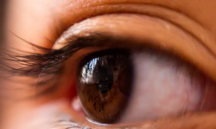 a close up of a person's brown eye