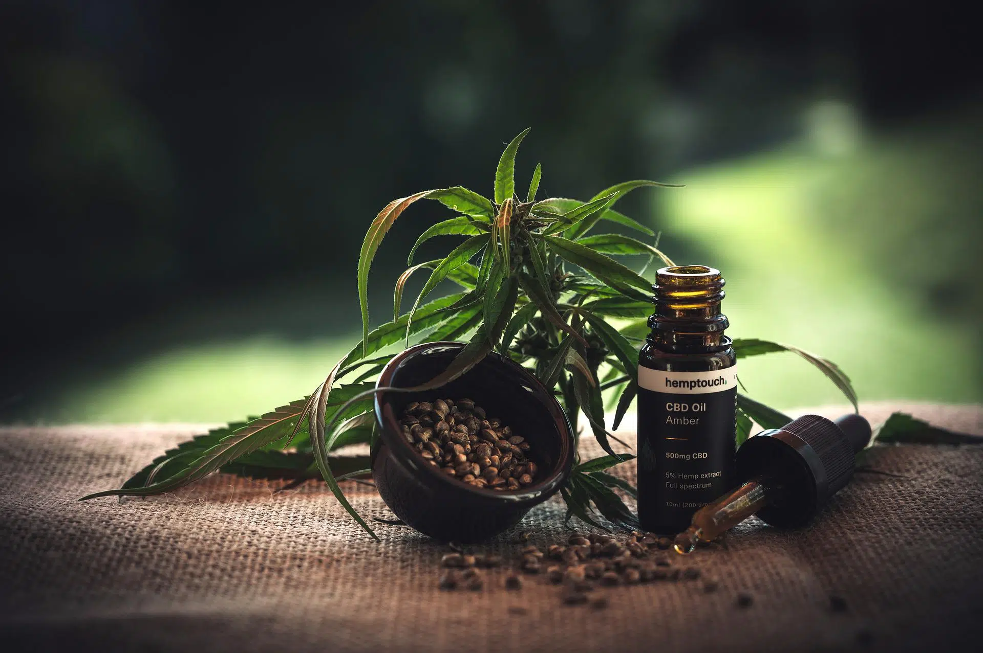 Quel est le meilleur site pour acheter du CBD ?