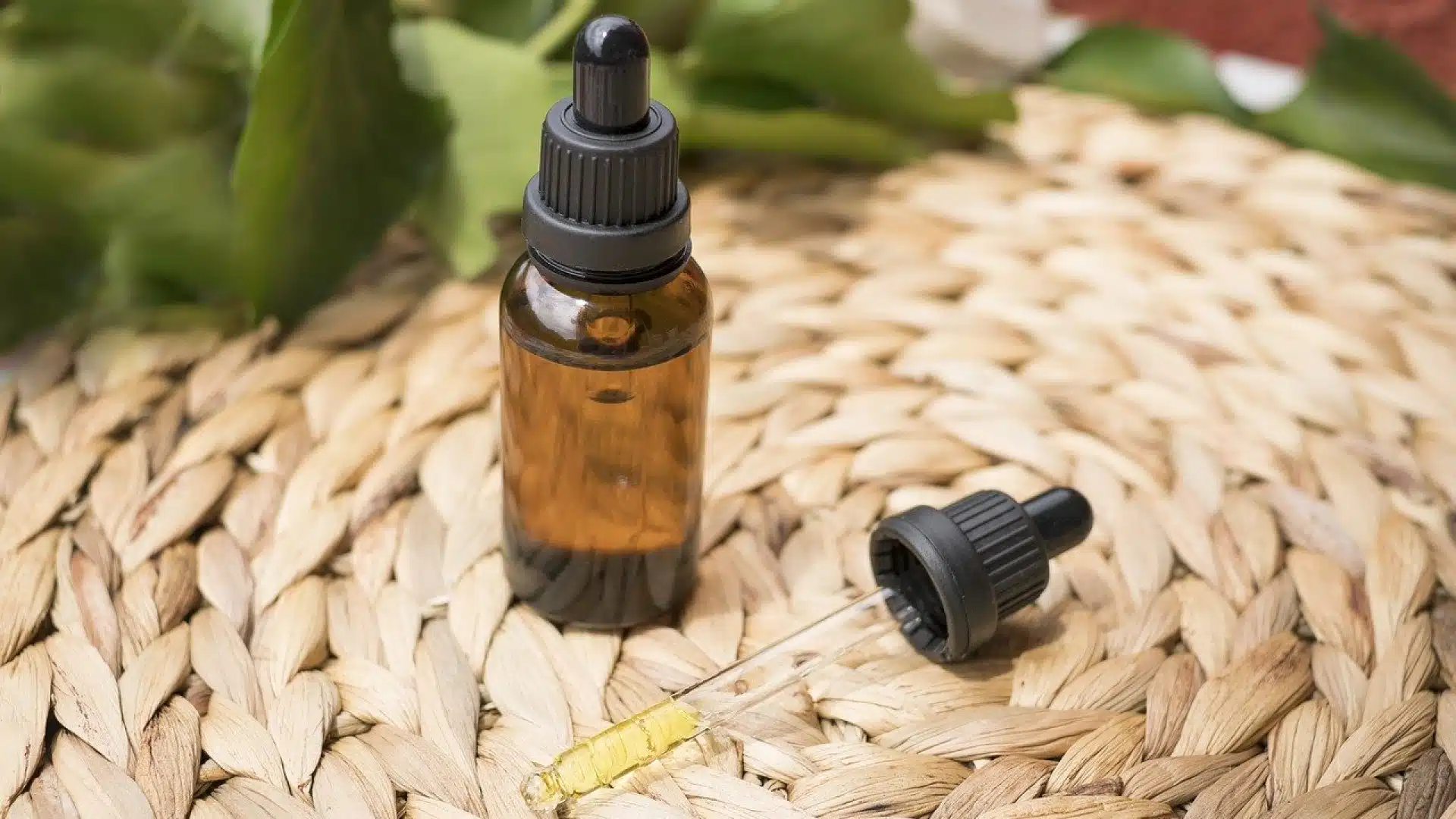 Comment booster son immunité grâce à l’huile de CBD ?