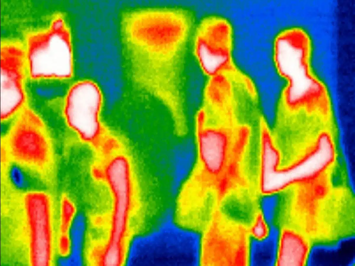thermogenèse